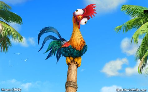 Hei Hei says hey!!! Heyhey Chicken Moana, Hayhay Moana, Heihei Tattoo, Chicken From Moana, Hey Hey Moana, Moana Chicken, Heihei Moana, Moana Poster, Hei Hei Moana