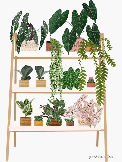 Potion Maker, Plants Shelf, Bathroom Drawing, Christmas Plants, Plant Vector, Vector People, Plant Shelf, Bathroom Plants, Watercolor Plants