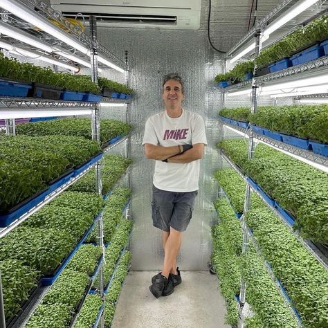 Bootstrap Farmer’s Instagram profile post: “Check out that grow room setup via @health_is_wealth_microfarms 😍 #goals #indoorgrowing #microgreens #microgreensfarm #indoorfarming…” Indoor Farming, Growing Microgreens, Grow Room, Room Setup, Study Office, Farmers Market, Farmer, Instagram Profile, Health