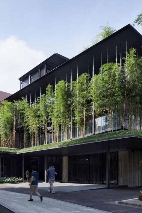 Green Building Architecture, Green Roof Building, Green Facade, Green Architecture, Facade Architecture, Sustainable Architecture, Green Roof, Facade Design, Concept Architecture