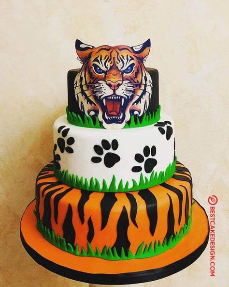 50 Tiger Cake Design (Cake Idea) - October 2019 Tiger Birthday Cake, Cubs Cake, Kitten Cake, Tiger Birthday Party, Tiger Cake, Tiger Birthday, Jungle Theme Birthday, 4th Birthday Cakes, Safari Cakes