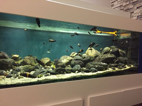 Stone Idea Aquascape Frontosa Tank, Stone Aquascape, Tank Aquariums, Best Aquarium Filter, Aquascaping Rocks, Cichlid Tank, Aquarium Mini, Aqua Scape, Biotope Aquarium