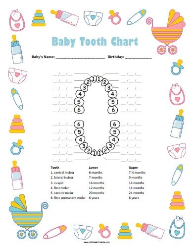 Free Printable Baby Boy Tooth Chart. Free Printable Baby Boy Tooth Chart, a great chart to track your baby's teeth eruption dates. If your want to record the proper primary teeth development, this baby tooth chart can help you. Keep track of first molar, second molar, canine (cuspid), lateral incisor, central incisor and first permanent molar. You can write the First Tooth Ideas, Baby Tooth Chart, Baby Journal Book, Teething Chart, Baby Book Pages, Baby Books Diy, Baby Record Book, Baby Planner, Tooth Chart