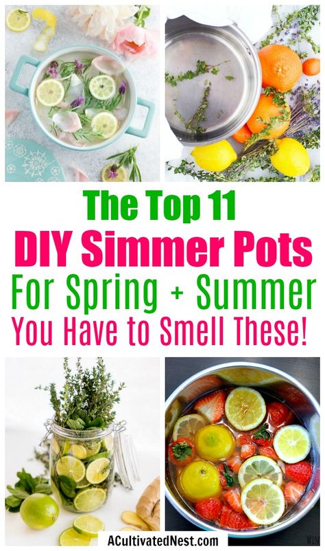 11 DIY Simmer Pot Recipes for Spring and Summer- An easy (and all-natural) way to make your home smell great this spring and summer is with these wonderful smelling DIY simmer pot recipes! | natural air freshener, how to make your home smell good, chemical-free DIY air freshener, #DIY #ecofriendly #greenliving #homemaking #potpourri #ACultivatedNest Diy Simmer Pot, Summer Potpourri, Air Freshener Diy, Make Your Home Smell Good, Summer Pots, Home Smell Good, Recipes For Spring, Homemade Potpourri, Simmer Pot Recipes