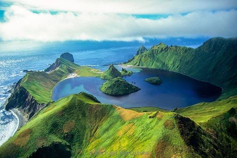 Photograph by Michael Yamashita. @yamashitaphoto - Earth Day, on April 22, celebrates our planet’s environment and the life that’s on it. The Kuril Islands support a wide range and high abundance of marine life. A laboratory for hardy scientists, the crater bay on uninhabited Yankicha teems with such life, the product of an unusual environment in which cold ocean tides mingle with superheated waters from volcanic vents. #NatgeoEarthDay #earthday #Yankicha #kurilislands #island #Russia #Japa... Cold Ocean, Kuril Islands, Ocean Tides, Sea To Shining Sea, World Geography, Happy Earth, April 22, Wonderful Images, Nature Animals