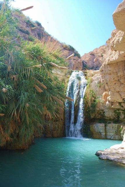 En Gedi, Israel                                                       …                                                                                                                                                                                 Más Goals Wallpaper, Packing Toiletries, Usa Roadtrip, Eilat, Water Fall, Long Flights, Pictures Photography, Photography Landscape, Pictures Ideas