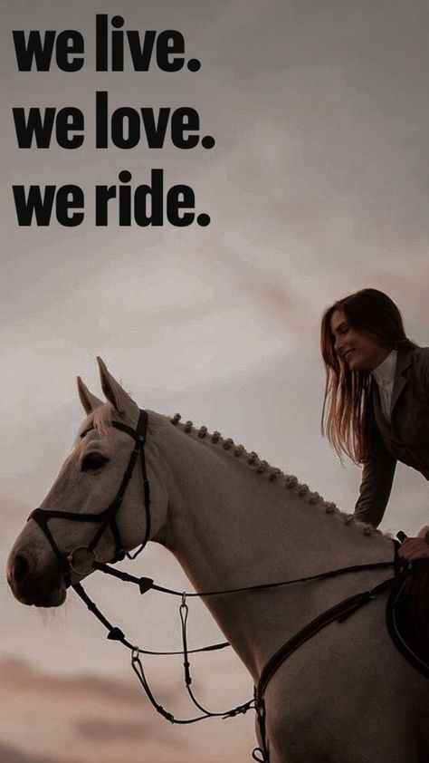 Horse Love Quotes, Horse Photoshoot Ideas, Equine Quotes, Spirit The Horse, Horsey Life, Horse Riding Aesthetic, Inspirational Horse Quotes, Horse Riding Quotes, Dream Horse Barns