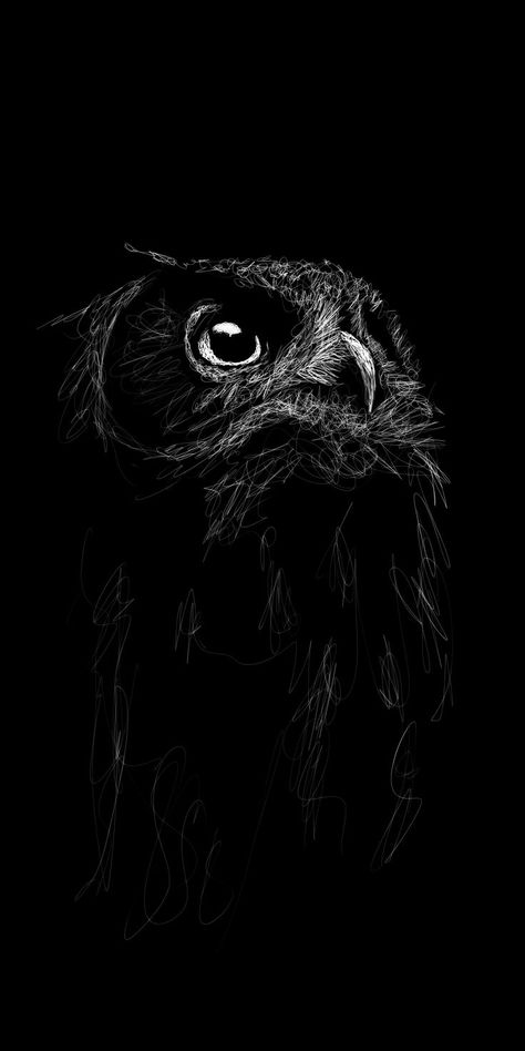 Animal Pictures For Kids, Eyeball Art, Scratchboard Art, Black Paper Drawing, Scribble Art, Rennaissance Art, Black And White Art Drawing, Scratch Art, Charcoal Art