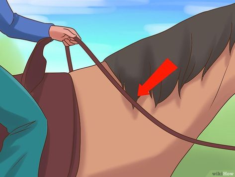 How to Teach a Horse to Neck Rein: 15 Steps (with Pictures) Cowgirls And Angels, Equine Veterinary, American Quarter Horse Association, Horse's Neck, Reining Horses, Turtle Pond, Horse Info, Horse Camp, Bone Diseases