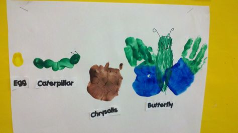 Life cycle of a butterfly made by fingers and a hand print! Life Cycle Of A Butterfly Toddlers, Butterfly Life Cycle Craft For Toddlers, Life Cycle Of A Butterfly Preschool, Butterfly Life Cycle Art, Butterfly Life Cycle Activity, Insect Study, Butterfly Life Cycle Craft, Teaching Theme, Life Cycle Of A Butterfly