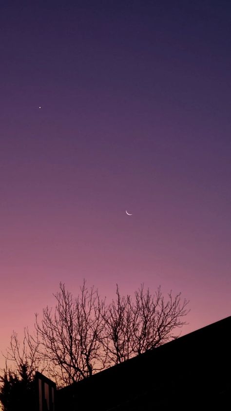 #wallpaper #wallpapers #aesthetic #aesthetics #moon #luna #selene #evening #sunset #crescent #crescentmoon #sky #night #nightsky #beautiful #selenophile Evening Moon Aesthetic, Evening Sunset Photography, Half Moon Aesthetic, Moon Sky Wallpaper, Half Moon Wallpaper, Moon Film, Hand Reflexology, Moon Luna, Sky Night