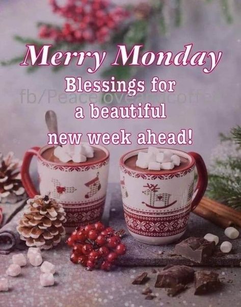 Cold Monday Morning Quotes, Monday December Quotes, Monday Christmas Blessings, Happy Monday December, Christmas Monday Quotes, Hello Monday Have A Great Week, Holiday Monday Quotes, Good Morning Family And Friends, Monday Blessings New Week