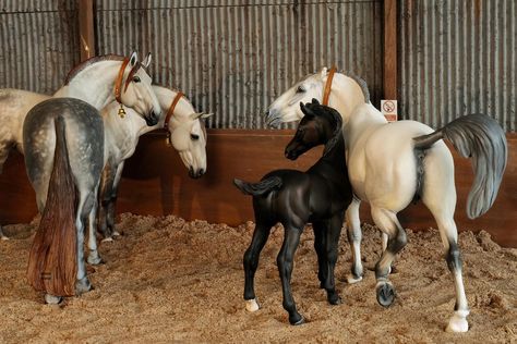 Breyer Horse Diorama, Breyer Horse Photography, Breyer Horses Scenes, Funny Horse Pictures, Bryer Horses, Horse Shelter, Toy Horses, Horse Info, Breyer Horse