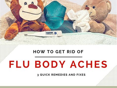 Body Aches Remedies, Natural Add Remedies, Cold Or Allergies, Natural Remedies For Migraines, Body Aches, Sick Remedies, Allergy Remedies, High Fever, Cold Home Remedies