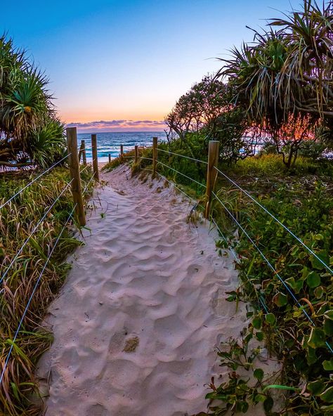 Sunshine Coast Australia Aesthetic, Australia Sunshine Coast, Sunshine Coast Aesthetic, Australian Beach Aesthetic, Aussie Aesthetic, Beach Pathway, Australia Aesthetic, Life In Australia, Australian Beaches