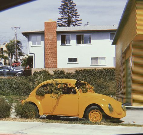 Yellow Volkswagen Beetle with sunflowers vintage #volkswagen #yellow #beetle #sunflowers #sunflower #flower Yellow Volkswagen Beetle Aesthetic, Beetle Car Decor, Yellow Volkswagen Bus, Yellow Car Aesthetic, Beetle Car Aesthetic, Yellow Bug Car, Vw Aesthetic, Yellow Beetle Car, Volkswagen Beetle Aesthetic