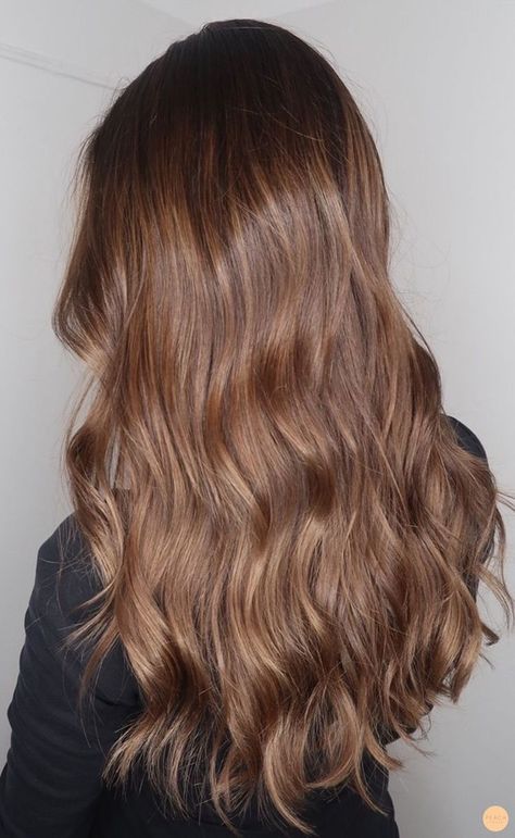 Brown Hair With Beige Balayage, Warm Honey Brown Hair Brunettes, Light Warm Brown Hair, Light Chestnut Brown Hair, Hazelnut Hair Color, Hazelnut Hair, Light Golden Brown Hair, Golden Brown Hair Color, Honey Hair Color