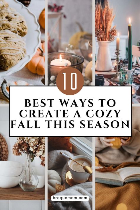 Boho Fall Decor Ideas, Fall 2024 Decor Trends, Fall House Decor Indoor, Fall Decor 2024, Fall Decor Indoor, Creepy Halloween Decorations Diy, Cozy Autumn Home, Boho Fall Decor, Homemade Potpourri