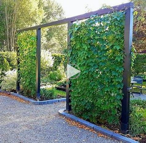 ✓✓** Modern Farmhouse DIY Mudroom Lockers with White Oak Bench mudroom bench cushion, mudroom bench, mudroom bench under window, mudroom bench with storage,.. Virginia Creeper, Front Yard Landscaping Plans, Front Yard Landscaping Simple, Garden Art Sculptures Diy, Front House Landscaping, Privacy Fence, 1st Year, House Landscape, Garden Art Sculptures