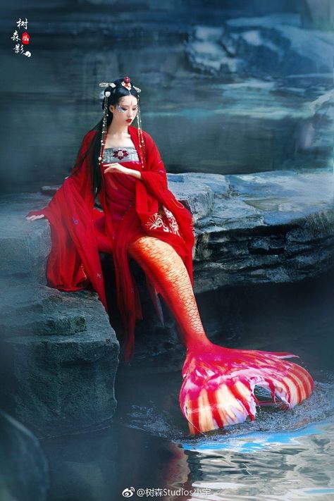 Stunning Asian Mermaid - Artist photagrapher model unknown Asian Mermaid, Types Of Mermaids, Mermaid Pose, Fantasy Mermaids, Mermaid Swimming, Mermaid Drawings, Real Mermaids, Fairytale Photography, Mermaid Aesthetic