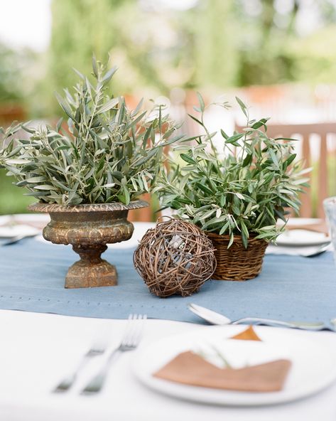 Succulent Centerpiece Wedding, Branch Centerpieces Wedding, Non Floral Centerpieces, Succulent Wedding Centerpieces, Vintage Wedding Centerpieces, Succulent Centerpiece, Branch Centerpieces, Nautical Wedding Invitations, Vintage Centerpieces