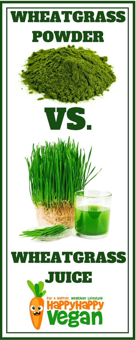 What's the best wheatgrass powder on the market? Which organic supplement should you be mixing in your smoothies? Find out here! Benefits Of Wheatgrass Powder, Wheatgrass Powder Recipes, Wheatgrass Recipes, Pitta Diet, Wheatgrass Benefits, Wheatgrass Smoothie, Wheat Grass Shots, Wheatgrass Powder, Organic Supplements