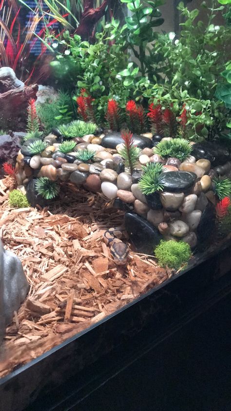 DIY Ball Python Hide Ball Python Cage, Tortoise Aquarium, Ball Python Enclosure, Python Enclosure, Bearded Dragon Terrarium Ideas, Snake Cages, Diy Snake, Diy Reptile, Snake Terrarium