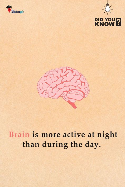 Did You Know Fact! "Brain is More active at night than during the day" #didyouknow #facts #fact #knowledge #didyouknowfacts #dailyfacts #factsdaily #funfacts #knowledgeispower #amazingfacts #interestingfacts #generalknowledge #factz #science #instafacts #truefacts #factsoflife #india #doyouknow #allfacts #sciencefacts #education #gk #instagram #realfacts #factoftheday #didyouknowthat #love #coolfacts Cool Facts, Science Fact, Fact Of The Day, Daily Facts, Did You Know Facts, Real Facts, Science Facts, During The Day, Knowledge Is Power