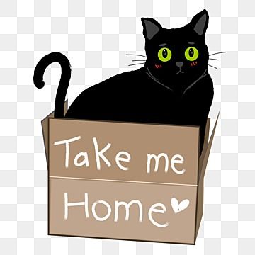 take me home,adoption,cat,cat clipart,pet,animal,adopt,animal clipart,cute,love,dog,dog clipart,girl clipart,home,kitty,cartoon,home clipart,me clipart,greeting,decoration,design,card,funny,print,concept,isolated,graphic,black Cute Bunny Clipart, Aesthetic Clipart, Adopt A Cat, Kitty Cartoon, Animal Adoption, Cat Png, Dog Clipart, City Cartoon, Drawing Clipart