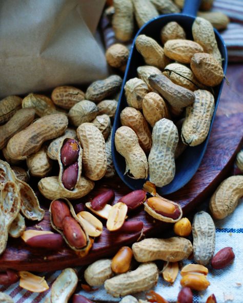 Salted Roasted Peanuts Recipe, Spicy Roasted Peanuts Recipe, Roasted Peas, Boiled Peanuts, Raw Peanuts, Brittle Recipes, Peanut Recipes, Stuffed Shells Recipe, Spicy Peanuts