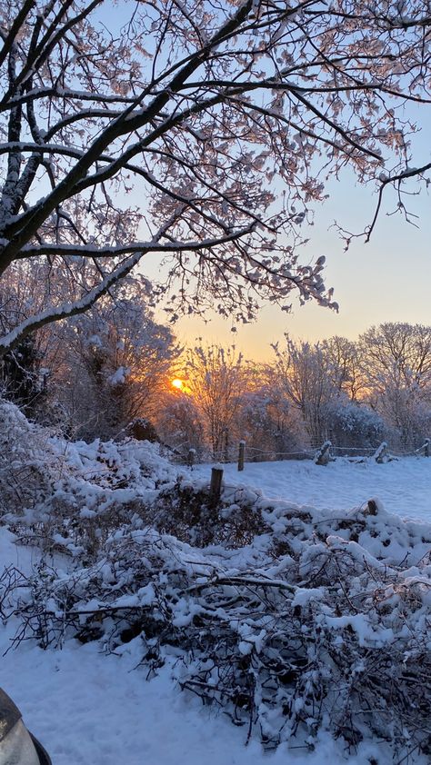 Snowy Morning Aesthetic, Sunny Snowy Day, Snowy Autumn, Winter Morning Aesthetic, Snowy Sunrise, November Snow, Snow Sunrise, Winters Morning, Snow Beauty