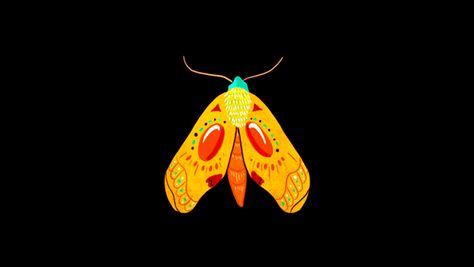 Mothra Loop on Behance Looping Animation, Moth Wings, Motion Graphics Inspiration, Black Background Images, Images And Words, Graphics Inspiration, Awesome Art, Motion Graphics, Beautiful Day