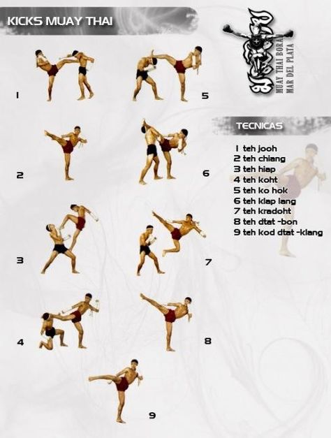 Some neat examples of good Muay Thai kicks. Muai Thai, Muay Boran, Muay Thai Kicks, Boxe Thai, Muay Thai Training, Kickboxing Workout, Martial Arts Techniques, Mma Training, Martial Arts Training