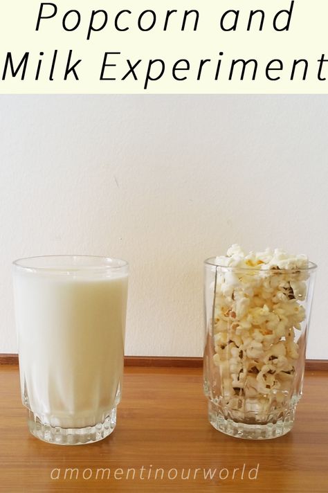 Popcorn and Milk Experiment {From Farmer Boy} Farmer Science Activities, Popcorn Experiments For Kids, Popcorn Activities For Kids, Popcorn Science Project, Indian Corn Science Experiment, Cold Jokes, Food Science Experiments, Milk Experiment, Milk Science Experiment