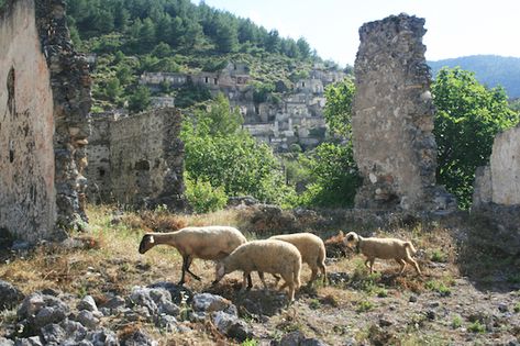 Greek Ruins, Village Aesthetic, Hillside Village, Greek Village, Natural Palette, Greek Culture, Beautiful Flower Arrangements, Village Life, Ap Art