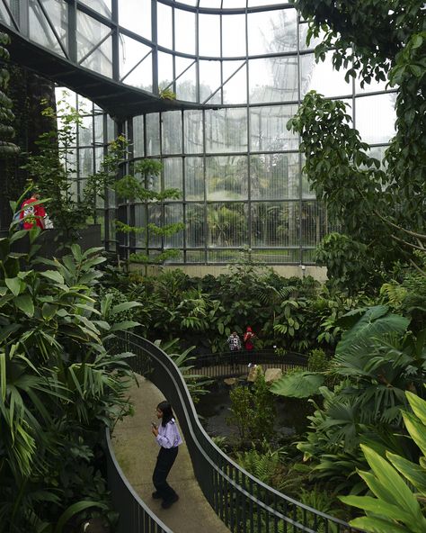 https://www.archdaily.com/1002635/before-and-after-the-tropicarium-of-the-bogota-botanical-garden/648c869a5921185b5c596492-before-and-after-the-tropicarium-of-the-bogota-botanical-garden-photo?next_project=no Atrium Garden, Future Buildings, Building Concept, Landscape Elements, Architectural Section, Garden Architecture, Garden Greenhouse, Gardens By The Bay, Garden Photos