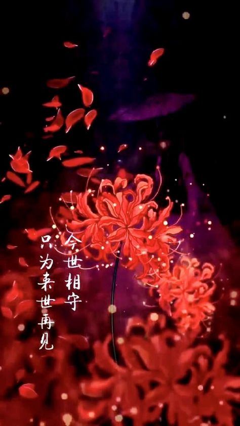 Spider Lily Flower Wallpaper, Red Spider Lily Wallpaper, Spider Lily Art, Spider Lily Wallpaper, Lycoris Radiata, Tattoo Wallpaper, Whats Wallpaper, Japanese Wallpaper Iphone, Lily Wallpaper