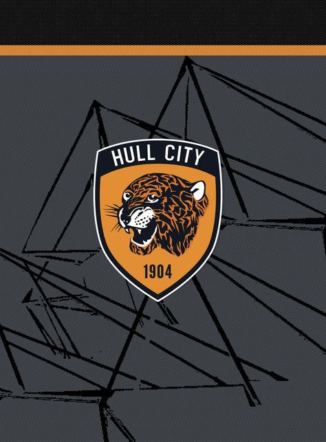 Hull City wallpaper. Hull City, City Logo, City Wallpaper, Football Wallpaper, Glass Painting, Football Players, Vehicle Logos, Football, ? Logo