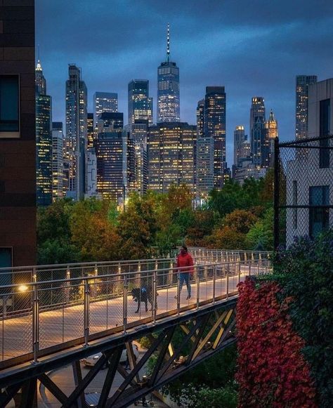 Squibb Park, Brooklyn Park, Voyage New York, New York Architecture, Brooklyn Bridge Park, Autumn In New York, City Silhouette, New York Pictures, Nyc Aesthetic