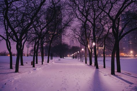 Reflecting purple snow city lights outdoors trees snow purple lavender Snow Pictures, Purple Christmas, Winter Scenery, Winter Night, Winter Aesthetic, Spanish Quotes, Purple Aesthetic, Season Colors, Outdoor Adventure