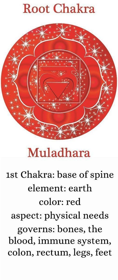 Root chakra first chakra 1st chakra #rootchakra #chakra #chakras Beauty Spells, Root Chakra Healing, Voodoo Hoodoo, Base Chakra, Chakra Affirmations, Chakra Art, Healing Spells, Spiritual Yoga, Chakra Racine