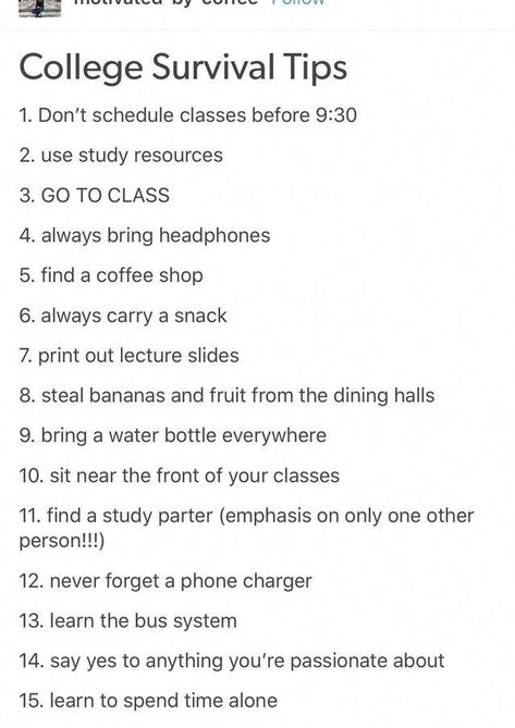 Studie Hacks, College Survival Guide, College Life Hacks, College Survival, College Advice, School Survival, College Study, School Study Tips, School Help