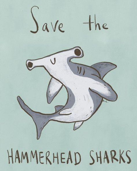 Hammerhead Sharks, Save The Sharks, Swimming Memes, Shark Pictures, Shark Drawing, Shark Bait, Shark Art, Hammer Head, Shark Fin