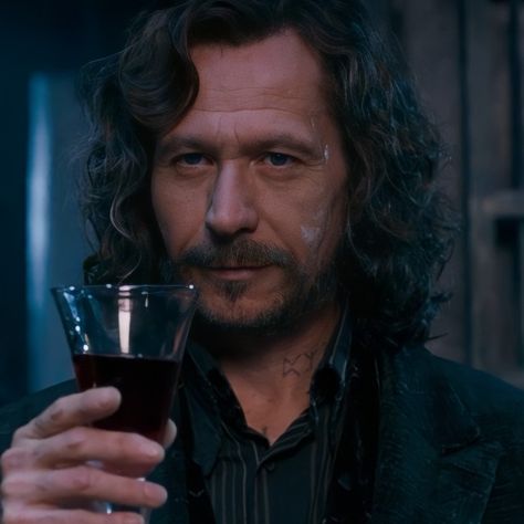 Harry Potter Sirius, Potter Facts, Prisoner Of Azkaban, Gary Oldman, Harry Potter Facts, Ben Barnes, Tom Felton, Harry Potter Movies, Sirius Black