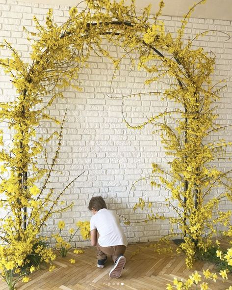 Forsythia Wedding Decor, Forsythia Wedding, Yellow Wedding Arch, Chuppah Decor, Arbor Decor, Fern Wedding, Yellow Orchid, Yellow Wedding Flowers, Wedding Wall