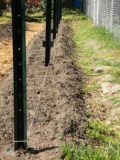 Stringing Tomatoes Plants, Tall Tomato Support, T Post Trellis, Tomato String Trellis, Permaculture Projects, Tomatoes In Containers, Tomato Trellis, Growing Raspberries, Trellis Ideas