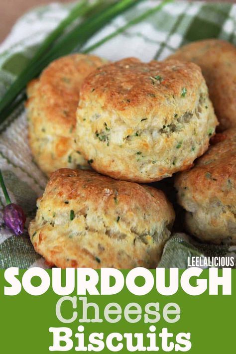 Sourdough Biscuits Recipe, Buttermilk Cheese, Cheese Sourdough, Dough Starter Recipe, Savory Bakes, Sourdough Biscuits, Recipe Using Sourdough Starter, Sourdough Bread Starter, Dough Starter