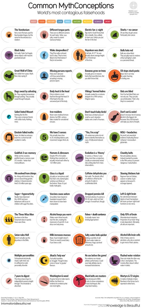 Common MythConceptions: World's Most Contagious Falsehoods #infographic #Myths #Misconceptions Ww1 Aircraft, Writing Lists, Common Myths, Forensic, Knowledge Is Power, Geek Culture, The More You Know, General Knowledge, Interesting Facts