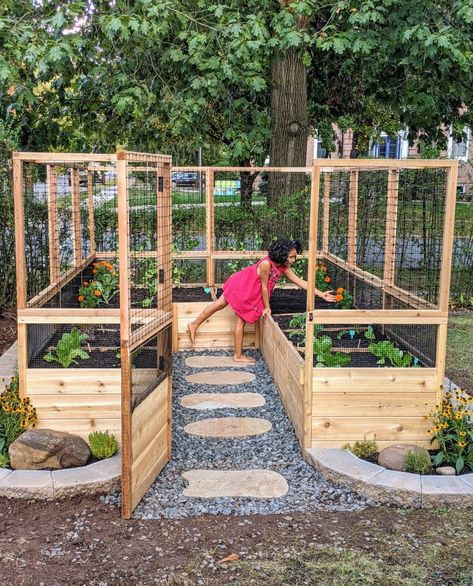 Cute Raised Bed Garden Ideas, Building A Garden Bed, Raised Garden Enclosure, Raised Beds With Fence, At Home Garden Raised Beds, Raised Garden Beds Fence, Home Veggie Garden Ideas, Backyard Garden Boxes Raised Beds, Garden With Fence And Gate