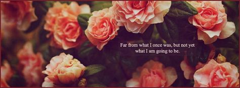 Forever a work in progress, there is always room for improvement. Facebook Cover Photos Flowers, Fb Cover Photo, Facebook Cover Photos Quotes, Cover Photos Facebook, Facebook Cover Quotes, Cover Pics For Facebook, Photos Flowers, Facebook Cover Images, Cover Quotes